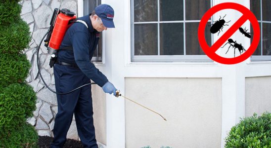 Musabeyli Dezenfeksiyon böcek ilaçlama ve haşere kontrolü — ilaclama-tr.com